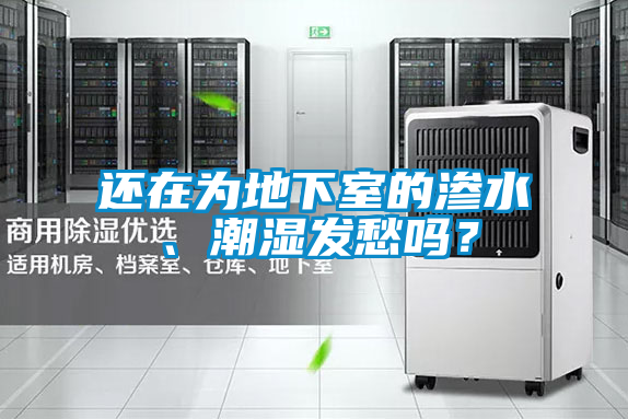 還在為地下室的滲水、潮濕發(fā)愁嗎？