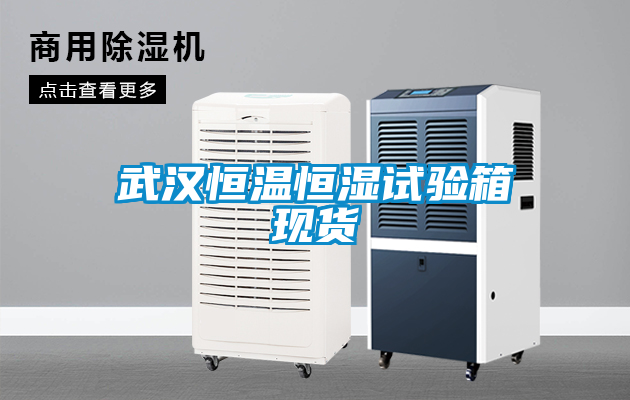 武漢恒溫恒濕試驗(yàn)箱現(xiàn)貨