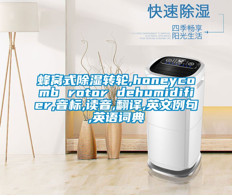 蜂窩式除濕轉輪,honeycomb rotor dehumidifier,音標,讀音,翻譯,英文例句,英語詞典