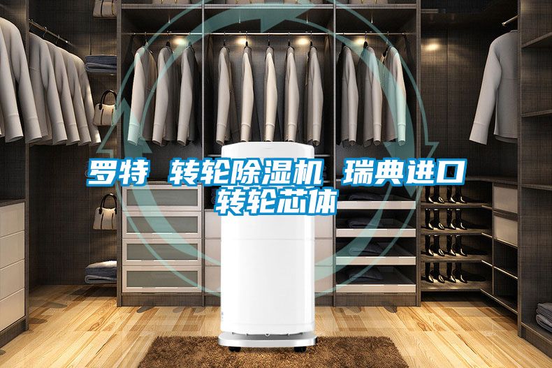 羅特 轉(zhuǎn)輪除濕機 瑞典進口轉(zhuǎn)輪芯體