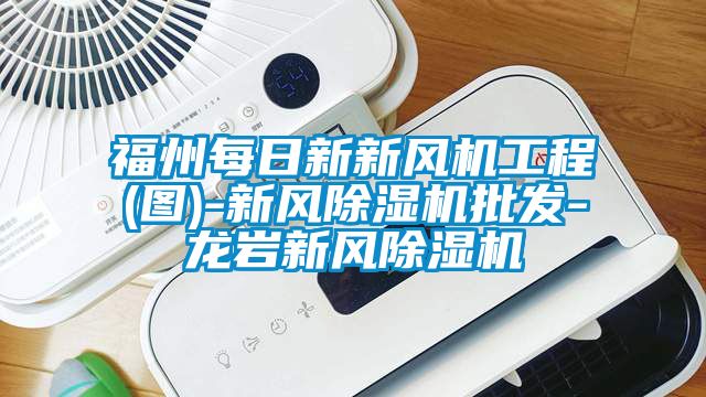 福州每日新新風機工程(圖)-新風除濕機批發(fā)-龍巖新風除濕機