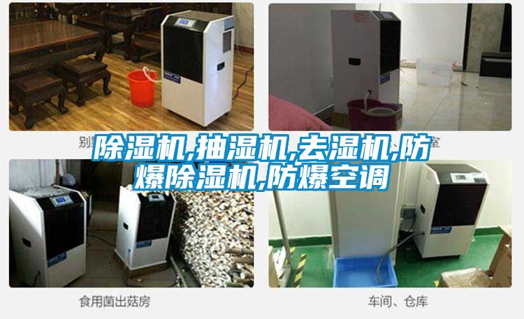 除濕機,抽濕機,去濕機,防爆除濕機,防爆空調(diào)