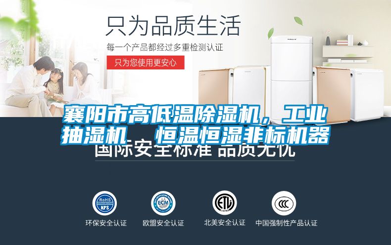 襄陽市高低溫除濕機(jī)，工業(yè)抽濕機(jī)  恒溫恒濕非標(biāo)機(jī)器