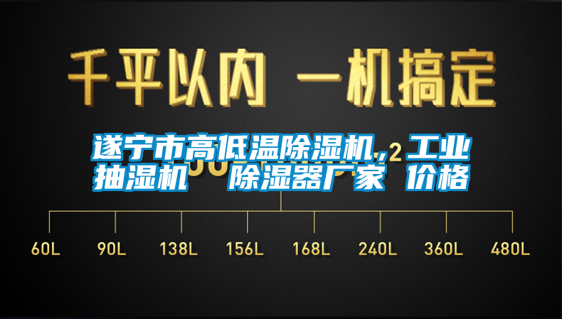 遂寧市高低溫除濕機，工業(yè)抽濕機  除濕器廠家 價格