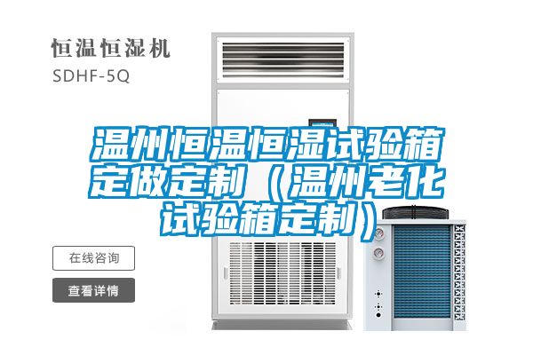 溫州恒溫恒濕試驗箱定做定制（溫州老化試驗箱定制）