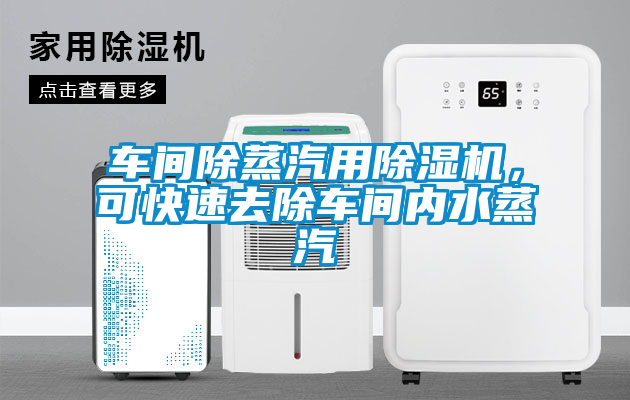 車間除蒸汽用除濕機(jī)，可快速去除車間內(nèi)水蒸汽