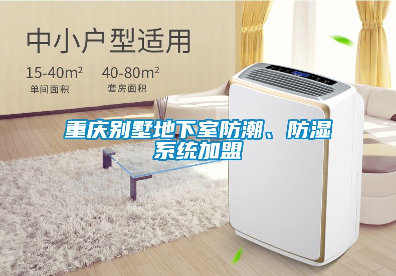 重慶別墅地下室防潮、防濕系統(tǒng)加盟