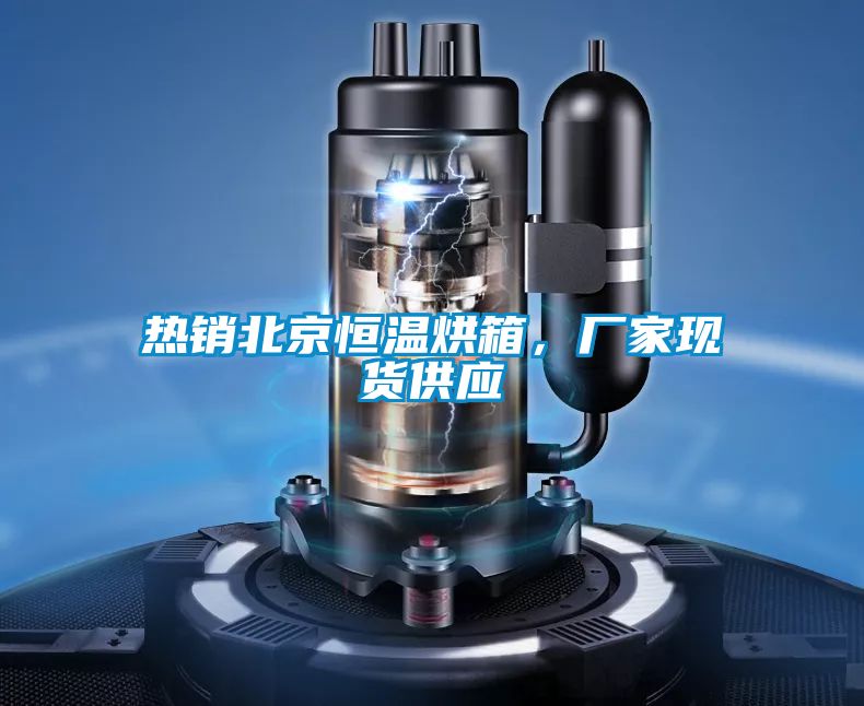 熱銷北京恒溫烘箱，廠家現(xiàn)貨供應(yīng)