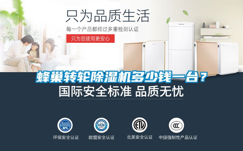 蜂巢轉輪除濕機多少錢一臺？