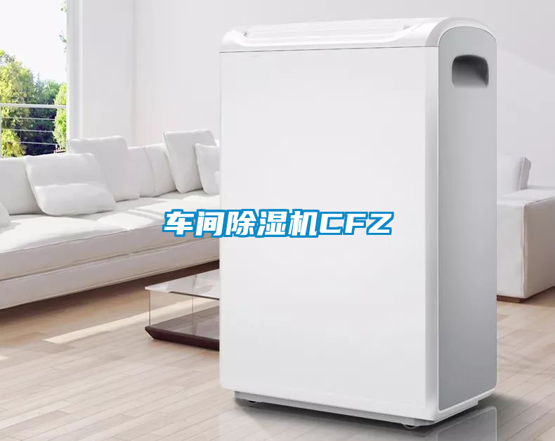 車間除濕機(jī)CFZ