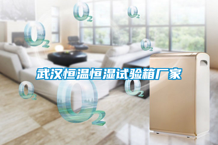 武漢恒溫恒濕試驗(yàn)箱廠(chǎng)家
