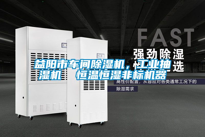益陽市車間除濕機(jī)，工業(yè)抽濕機(jī)  恒溫恒濕非標(biāo)機(jī)器