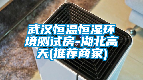 武漢恒溫恒濕環(huán)境測(cè)試房-湖北高天(推薦商家)