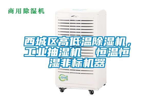 西城區(qū)高低溫除濕機(jī)，工業(yè)抽濕機(jī)  恒溫恒濕非標(biāo)機(jī)器