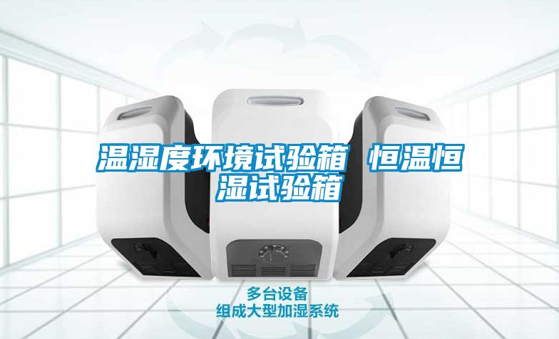 溫濕度環(huán)境試驗箱 恒溫恒濕試驗箱