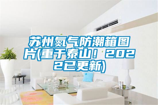 蘇州氮氣防潮箱圖片(重于泰山！2022已更新)