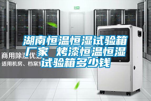 湖南恒溫恒濕試驗(yàn)箱廠家 烤漆恒溫恒濕試驗(yàn)箱多少錢