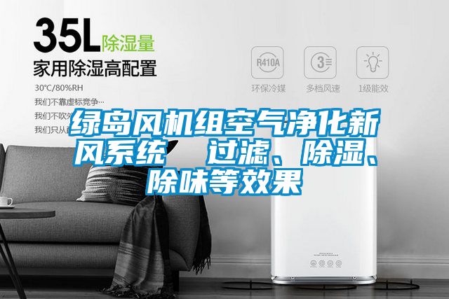 綠島風(fēng)機組空氣凈化新風(fēng)系統(tǒng)  過濾、除濕、除味等效果