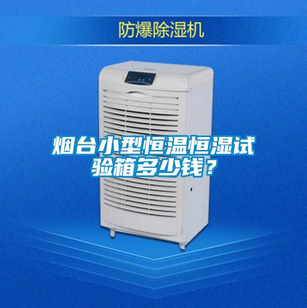 煙臺小型恒溫恒濕試驗箱多少錢？