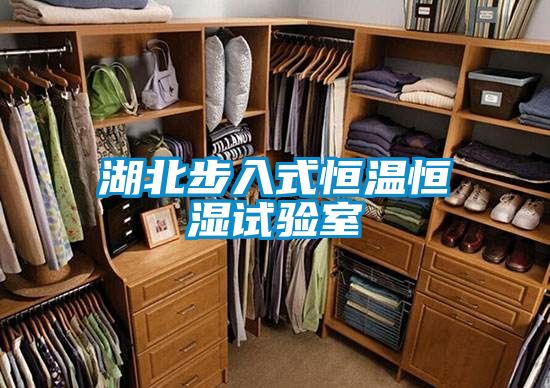 湖北步入式恒溫恒濕試驗(yàn)室