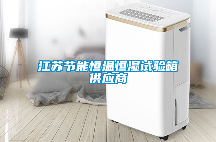 江蘇節(jié)能恒溫恒濕試驗箱供應商