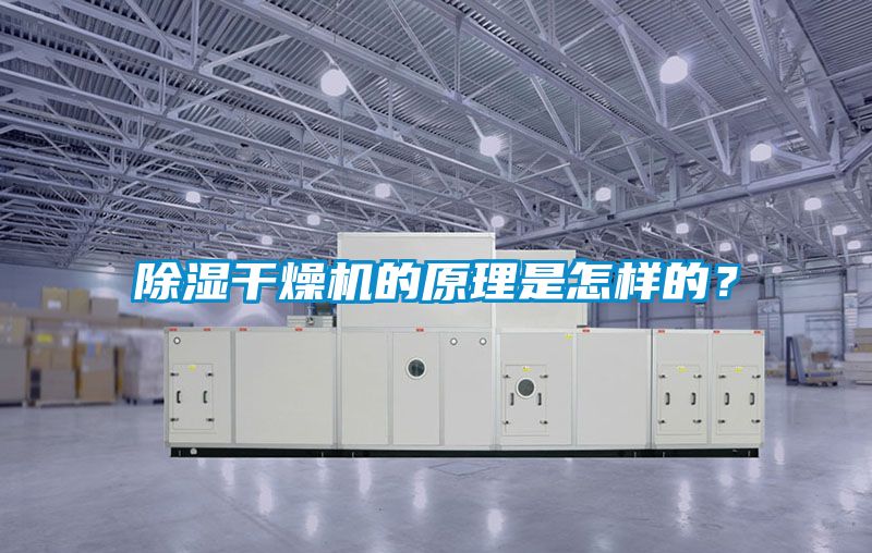 除濕干燥機的原理是怎樣的？