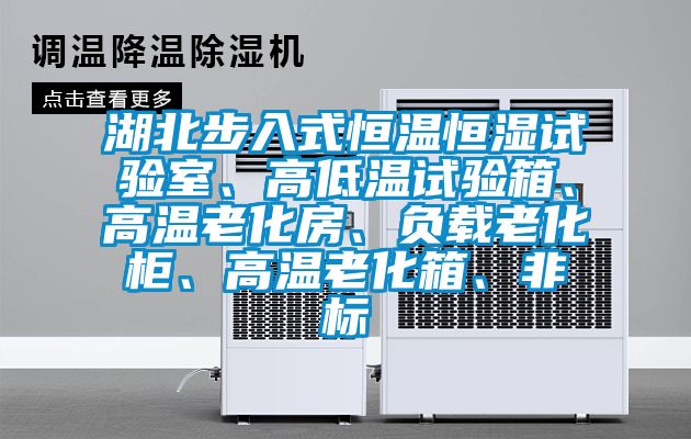 湖北步入式恒溫恒濕試驗(yàn)室、高低溫試驗(yàn)箱、高溫老化房、負(fù)載老化柜、高溫老化箱、非標(biāo)