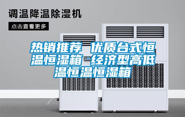 熱銷推薦 優(yōu)質(zhì)臺式恒溫恒濕箱 經(jīng)濟(jì)型高低溫恒溫恒濕箱
