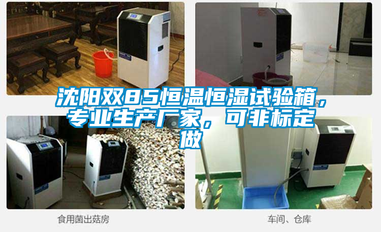 沈陽雙85恒溫恒濕試驗箱，專業(yè)生產(chǎn)廠家，可非標定做