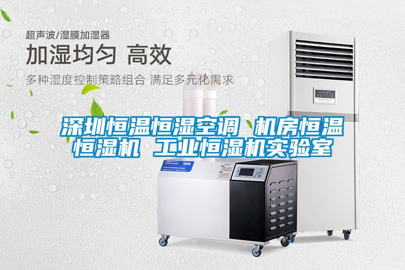 深圳恒溫恒濕空調(diào) 機(jī)房恒溫恒濕機(jī) 工業(yè)恒濕機(jī)實(shí)驗(yàn)室
