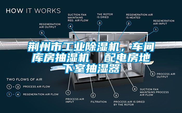 荊州市工業(yè)除濕機(jī)，車間庫房抽濕機(jī)  配電房地下室抽濕器