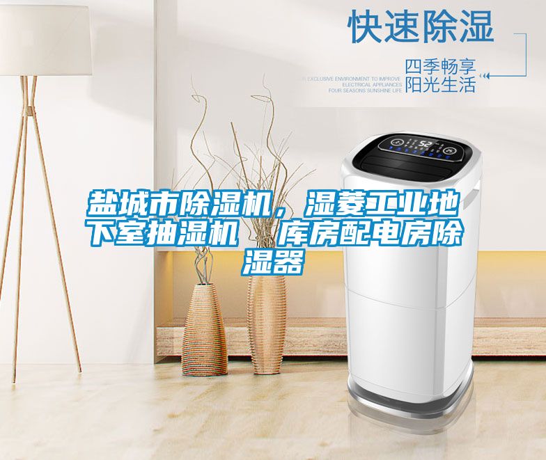 鹽城市除濕機(jī)，濕菱工業(yè)地下室抽濕機(jī)  庫房配電房除濕器
