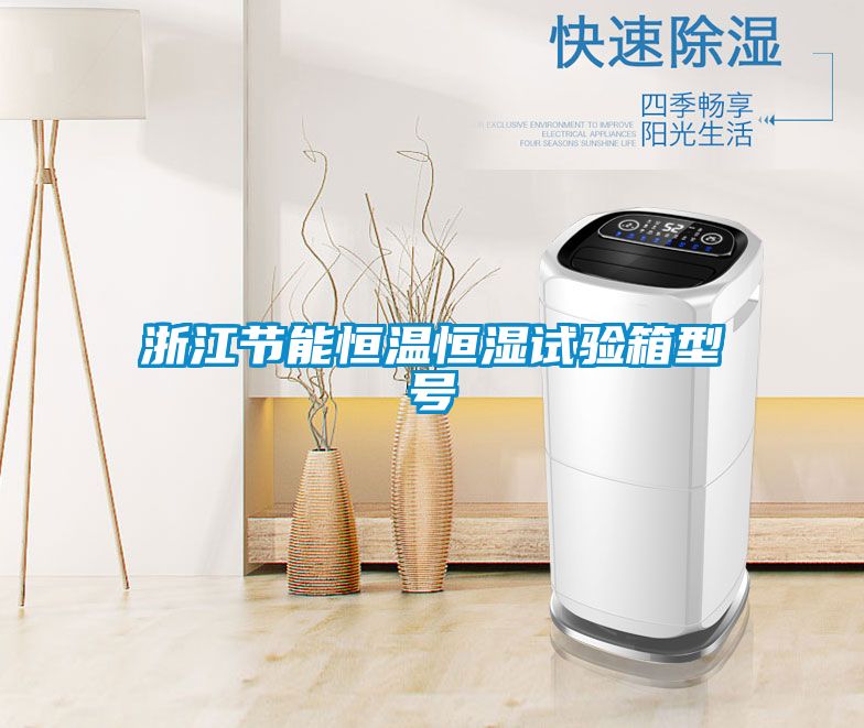 浙江節(jié)能恒溫恒濕試驗(yàn)箱型號(hào)