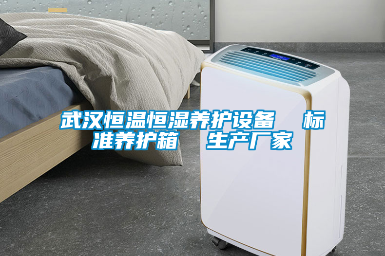 武漢恒溫恒濕養(yǎng)護(hù)設(shè)備  標(biāo)準(zhǔn)養(yǎng)護(hù)箱  生產(chǎn)廠家