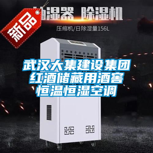 武漢大集建設(shè)集團(tuán)紅酒儲藏用酒窖恒溫恒濕空調(diào)