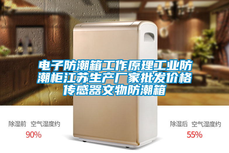 電子防潮箱工作原理工業(yè)防潮柜江蘇生產(chǎn)廠家批發(fā)價(jià)格傳感器文物防潮箱