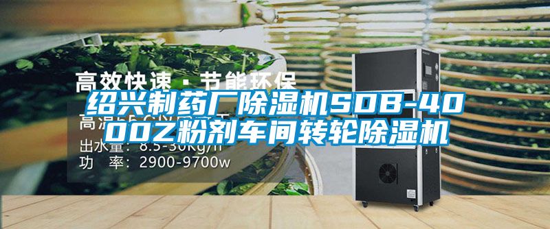 紹興制藥廠除濕機SDB-4000Z粉劑車間轉(zhuǎn)輪除濕機