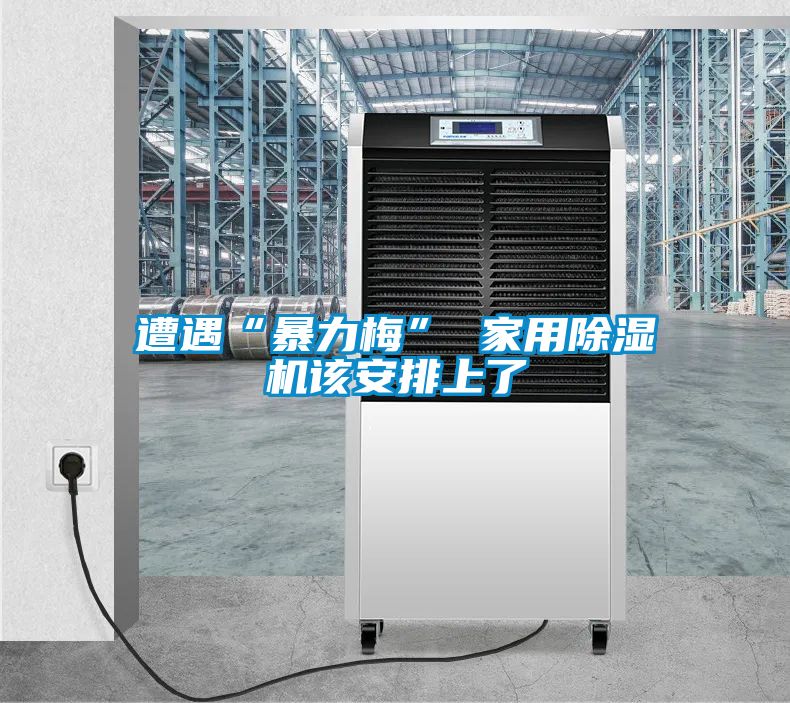 遭遇“暴力梅” 家用除濕機該安排上了