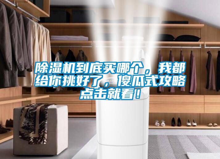 除濕機(jī)到底買哪個(gè)，我都給你挑好了，傻瓜式攻略點(diǎn)擊就看！