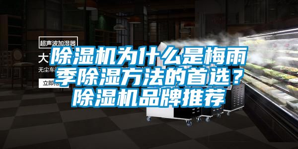 除濕機為什么是梅雨季除濕方法的首選？除濕機品牌推薦
