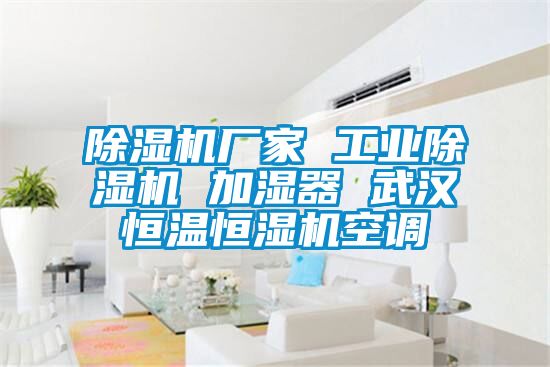 除濕機(jī)廠家 工業(yè)除濕機(jī) 加濕器 武漢恒溫恒濕機(jī)空調(diào)