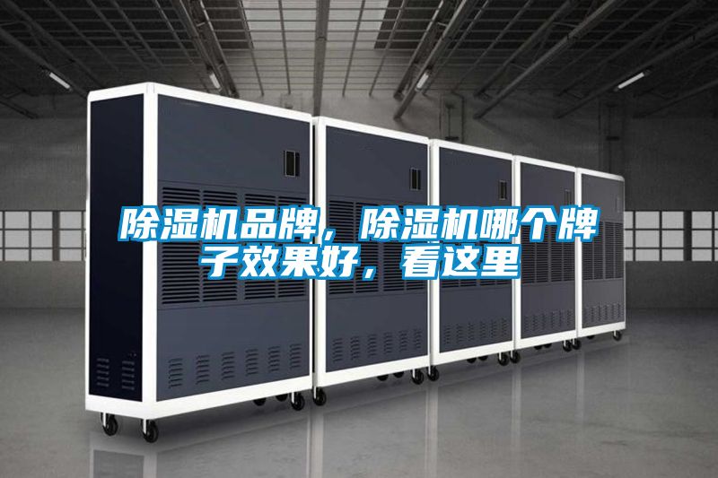 除濕機品牌，除濕機哪個牌子效果好，看這里