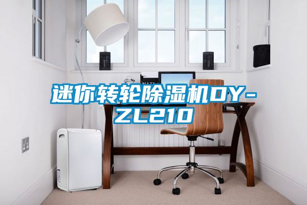 迷你轉(zhuǎn)輪除濕機(jī)DY-ZL210