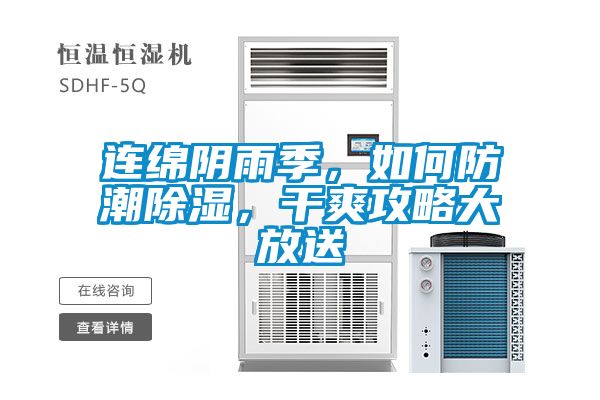 連綿陰雨季，如何防潮除濕，干爽攻略大放送