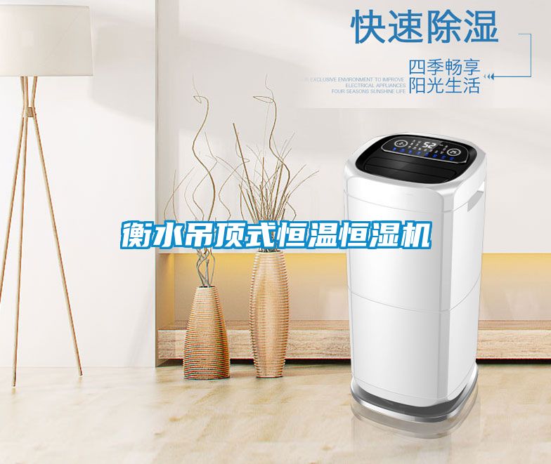 衡水吊頂式恒溫恒濕機