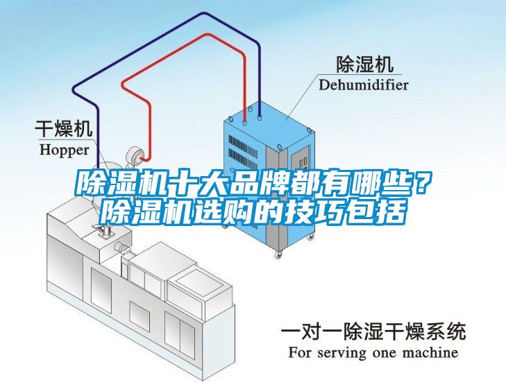 除濕機十大品牌都有哪些？除濕機選購的技巧包括