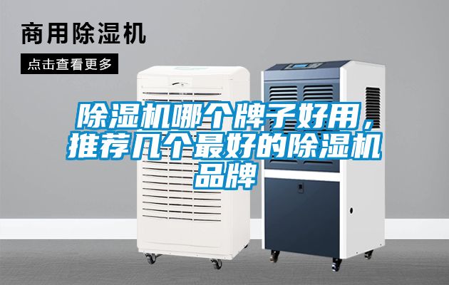 除濕機(jī)哪個(gè)牌子好用，推薦幾個(gè)最好的除濕機(jī)品牌