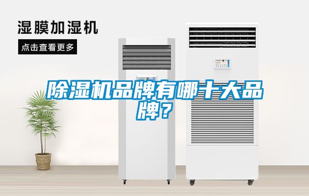 除濕機品牌有哪十大品牌？