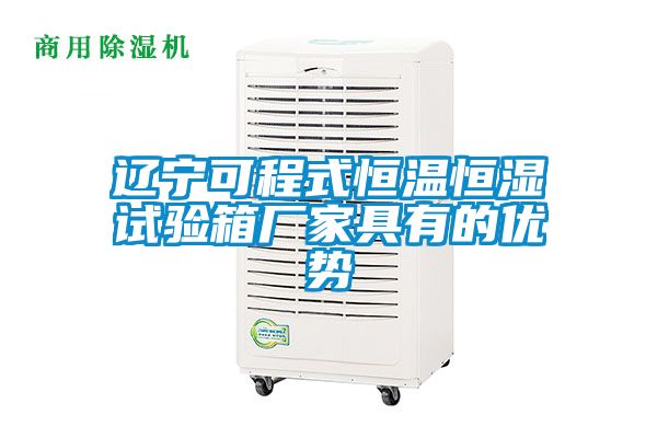 遼寧可程式恒溫恒濕試驗(yàn)箱廠家具有的優(yōu)勢(shì)