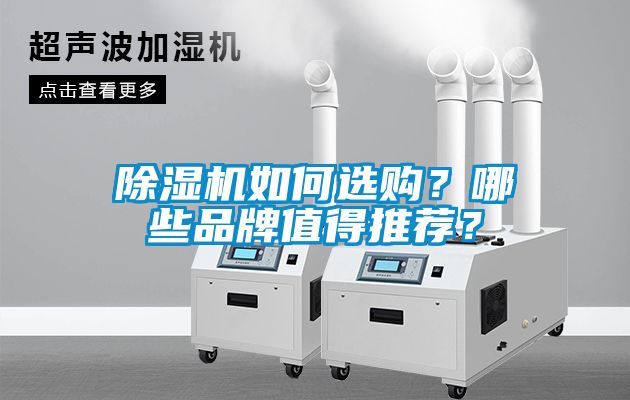 除濕機如何選購？哪些品牌值得推薦？